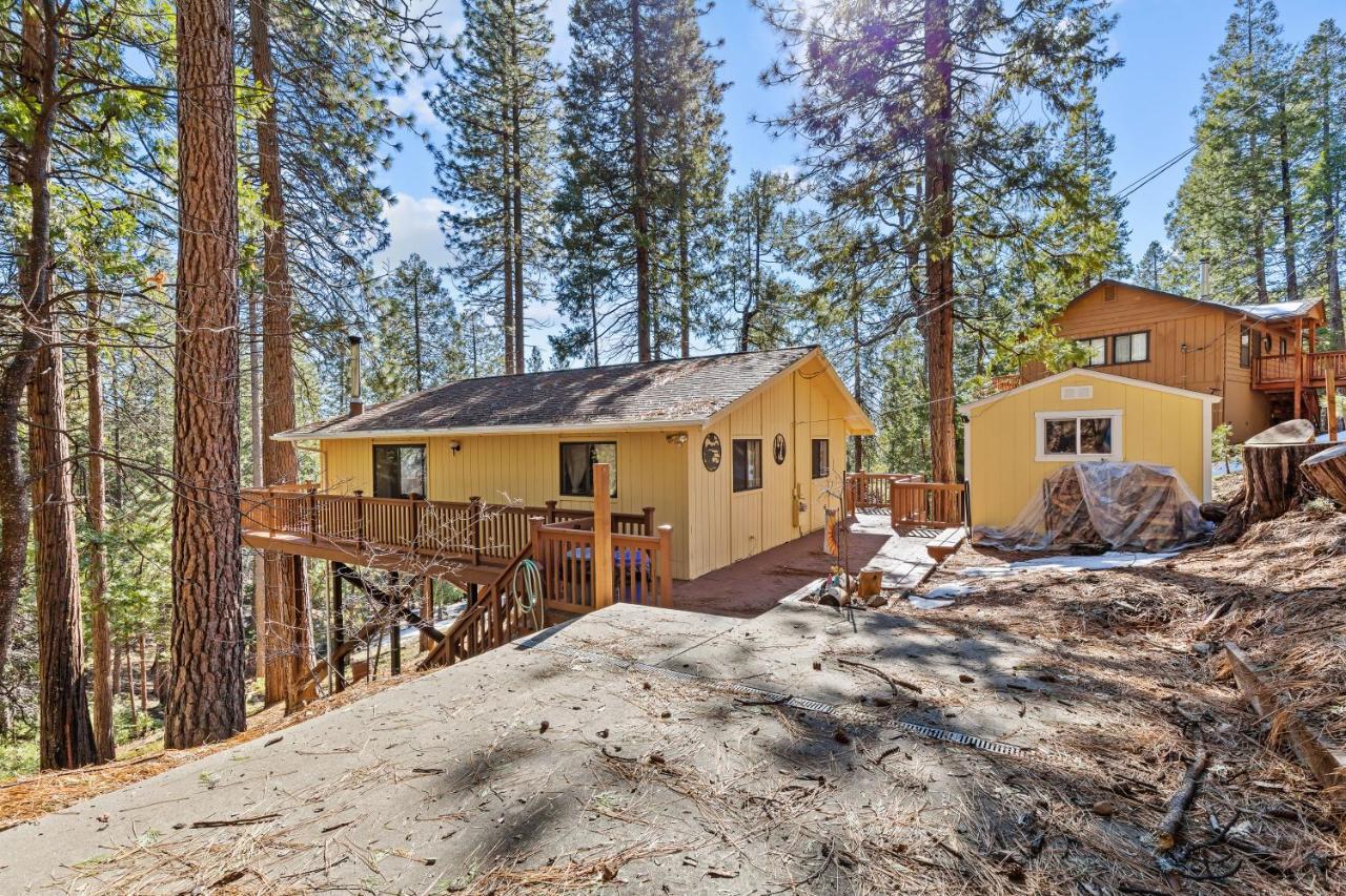 Big Trees, Little Cabin Арнолд Екстериор снимка